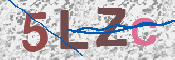 תמונת מבחן-תמונה